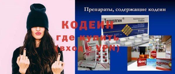 скорость Вяземский