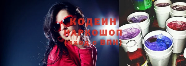 скорость Вяземский