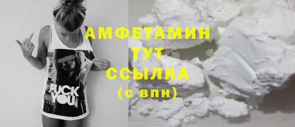 скорость Вяземский