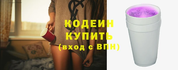 скорость Вяземский