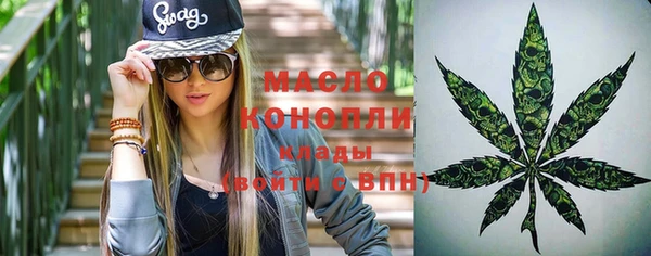 скорость Вяземский