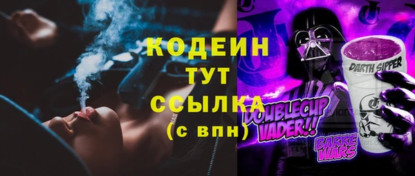 скорость Вяземский
