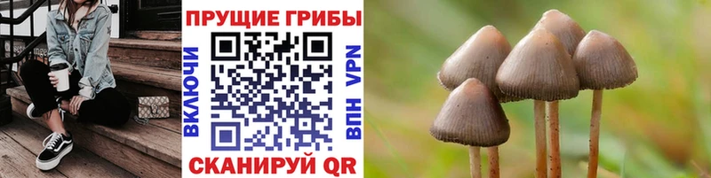 ОМГ ОМГ ССЫЛКА Подпорожье Галлюциногенные грибы Cubensis купить наркоту